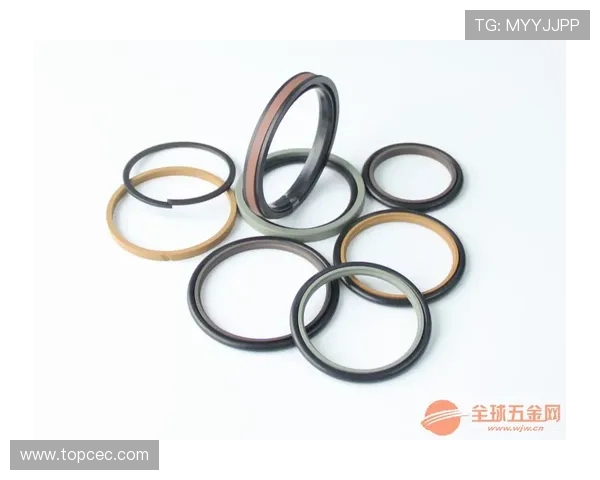 挖掘机气缸套密封圈失效